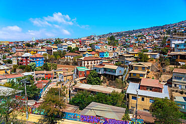 Colorful houses in town on sunny day, Cerro San Juan de Dios, Valparaiso, Chile