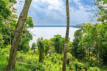 Lake Sandoval, Tambopata National Reserve, Puerto Maldonado, Madre de Dios, Peru, South America