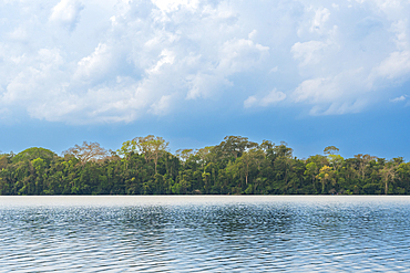 Lake Sandoval, Tambopata National Reserve, Puerto Maldonado, Madre de Dios, Peru, South America