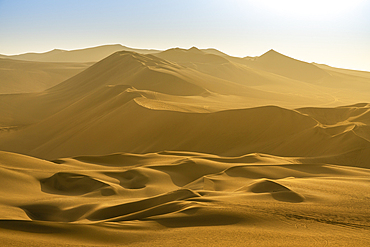 Sand dunes in desert at sunset, Huacachina, Ica District, Ica Province, Ica Region, Peru