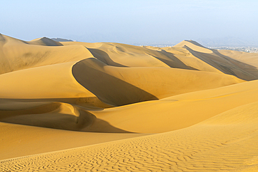 Sand dunes in desert at sunset, Huacachina, Ica District, Ica Province, Ica Region, Peru, South America