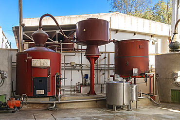 Distillation equipment for pisco production, Tacama Winery, Ica, Peru