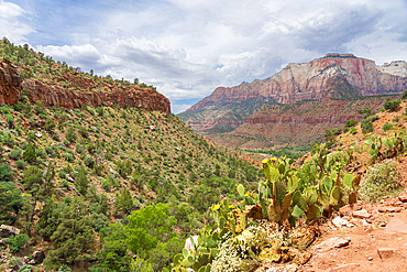 Zion valley seen from Watchman trail, Zion National Park, Utah, USA