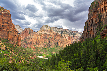 Zion valley seen from Kayenta trail, Zion National Park, Utah, USA