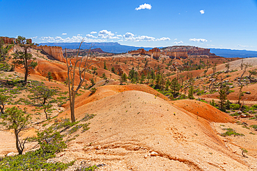 Scenic view of rock formations from Queens Garden Trail, Bryce Canyon National Park, Utah, United States of America, North America