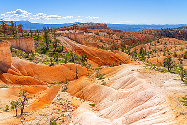 Scenic view of rock formations from Queens Garden Trail, Bryce Canyon National Park, Utah, United States of America, North America