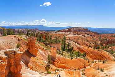 Scenic view of rock formations from Queens Garden Trail, Bryce Canyon National Park, Utah, United States of America, North America