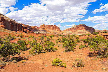 Whiskey Flat seen from Panorama Point, Capitol Reef National Park, Utah, Western United States, USA