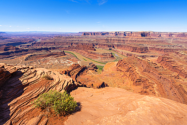 Bend of Colorado River at Dead Horse Point, Dead Horse Point State Park, Utah, United States of America, North America