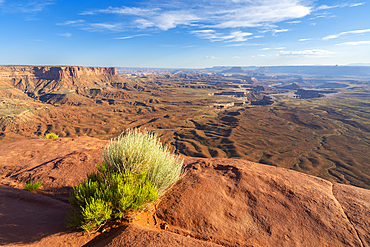 Green River Overlook, Canyonlands National Park, Utah, United States of America, North America