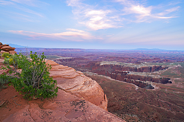 Dramatic canyon terrain at Grand View Point at dusk, Canyonlands National Park, Utah, USA