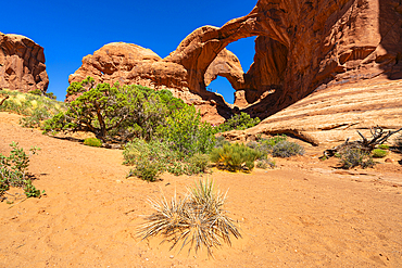 Double Arch in the Windows Section, Arches National Park, Moab, Utah, United States of America, North America