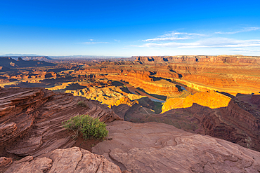 Bend of Colorado river at Dead Horse Point at sunrise, Dead Horse Point State Park, Utah, USA