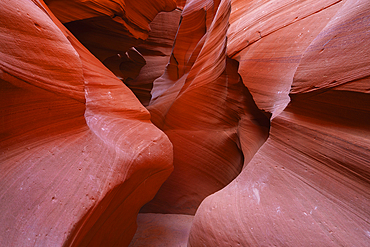 Slot canyon walls, Antelope Canyon X, Page, Arizona, USA