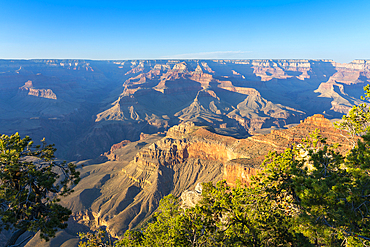 Grand Canyon, Rim Trail near Mather Point, Grand Canyon National Park, UNESCO World Heritage Site, Arizona, United States of America, North America