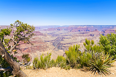 Grand Canyon, Pima Point, Grand Canyon National Park, UNESCO World Heritage Site, Arizona, United States of America, North America