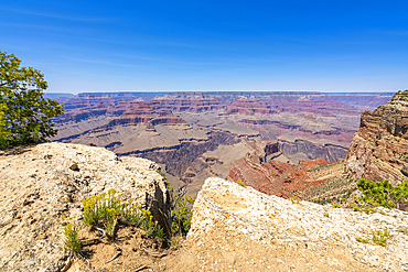 Grand Canyon, from Hermit Road near Mohave Point, Grand Canyon National Park, UNESCO World Heritage Site, Arizona, United States of America, North America