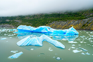 Large chunks of ice broken off Glaciar Grey floating in Lago Grey, Torres del Paine National Park, Patagonia, Chile, South America