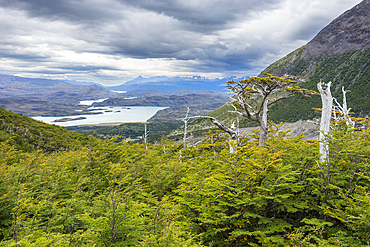 French Valley viewpoint, Torres del Paine National Park, Patagonia, Chile, South America