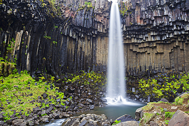 Svartifoss waterfall, Skaftafell National Park, Iceland, Polar Regions