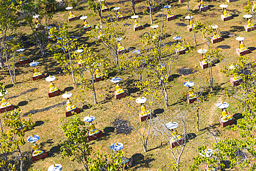 High angle view of Garden of Thousand Buddhas, Monywa, Myanmar (Burma), Asia