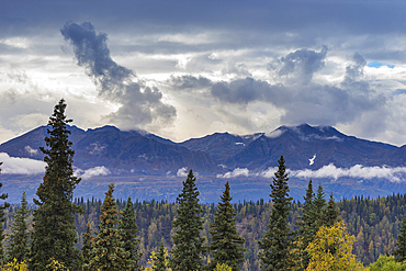 Scenic view of forest and mountains, Denali National Park and Preserve, Alaska, United States of America, North America