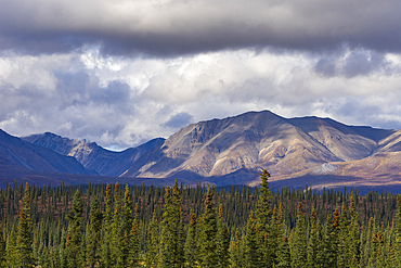 Scenic view of forest and mountains, Denali National Park and Preserve, Alaska, United States of America, North America