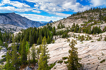 Olmsted Point with distant view of Half Dome rock formation, Yosemite National Park, California, USA