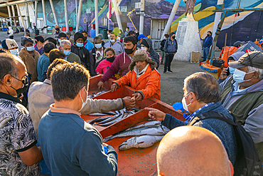 People buying fresh fish at market, Caleta Portales, Valparaiso, Valparaiso Province, Valparaiso Region, Chile, South America