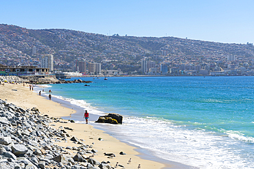 Los Placeres beach on sunny day, Valparaiso, Valparaiso Province, Valparaiso Region, Chile, South America