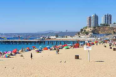 People sun bathing at Caleta Portales beach, Valparaiso, Valparaiso Province, Valparaiso Region, Chile, South America