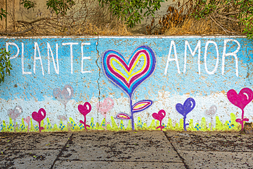 Painted mural with text saying Plante amor (Plant love) and heart at Cerro La Florida, Valparaiso, Valparaiso Province, Valparaiso Region, Chile, South America