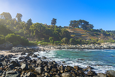 Las Cujas beach, Cachagua, Zapallar, Petorca Province, Valparaiso Region, Chile, South America