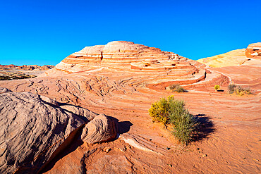 Red rock formations at Fire Wave, Valley of Fire State Park, Nevada, Western United States, USA