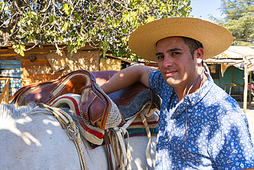 Young Chilean horseman (huaso) preparing white horse at ranch, Colina, Chacabuco Province, Santiago Metropolitan Region, Chile, South America