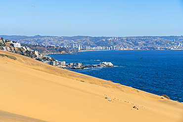 Sand dunes and distant view of Vina del Mar and Valparaiso, Concon, Valparaiso Province, Valparaiso Region, Chile, South America