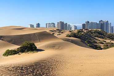 Sand dunes and residential high-rise buildings, Concon, Valparaiso Province, Valparaiso Region, Chile, South America