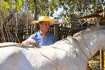 Young Chilean horseman (huaso) preparing white horse at ranch, Colina, Chacabuco Province, Santiago Metropolitan Region, Chile, South America