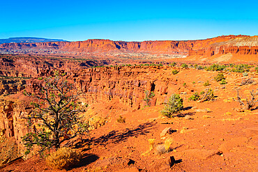 Red rock formations near Sunset Point, Capitol Reef National Park, Utah, USA