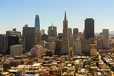 San Francisco skyline dominated by Transamerica Pyramid building seen from Coit Tower, San Francisco, California, USA