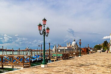 The Riva degli Schiavoni with its typical green street lamps and gondolas moorings, Venice, Veneto, Italy