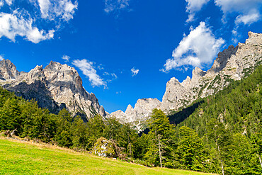 Dolomites, Canali valley, Tonadico, Trentino, Italy, Europe