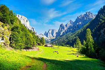 Dolomites, Canali valley, Tonadico, Trentino, Italy, Europe