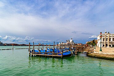 View of the Venetian lagoon with gondolas moored on the Grand Canal, Riva degli Schiavoni, Venice, Veneto, Italy