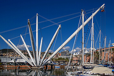 Ancient harbor, Genoa, Liguria, Italy, Europe