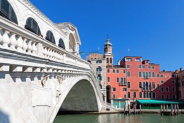 Rialto Bridge over the Grand Canal, Venice, Veneto, Italy