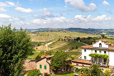 The hills surrounding the town of Neive, Neive, Langhe, Piedmont, Italy