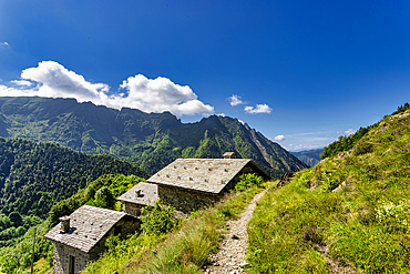 The bucolic landscape of Val Mastellone in summer, Rimella, Valsesia, Vercelli district, Piedmont, Italy, Europe