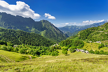 The bucolic landscape of Val Mastellone in summer, Rimella, Valsesia, Vercelli district, Piedmont, Italy, Europe