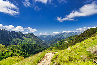 The bucolic landscape of Val Mastellone in summer, Rimella, Valsesia, Vercelli district, Piedmont, Italy, Europe